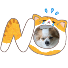 Toeyy_20260419141504