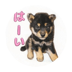 Korean_20260419192037