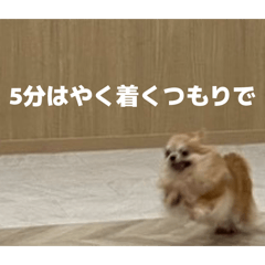 coron_20260419190727