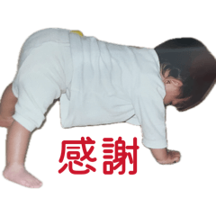 kotoko_20260419190805