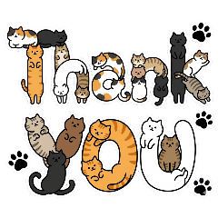 Marcy126_20260418000345