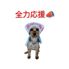 Genki_20260418085033