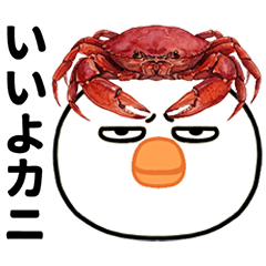 Bad-Eyed Chicken Stickers