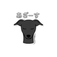 L.ovedog_20260418104411