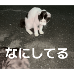 shinichi_20260419220130