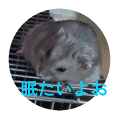 Hitomi_20260418113530