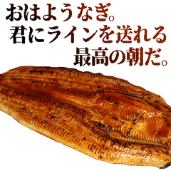 Affirmative Eel