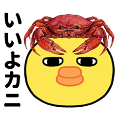 やさしい目のヒヨコのダジャレ集