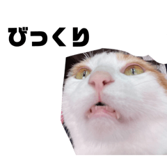 Mugikunnotuujyousutanpu