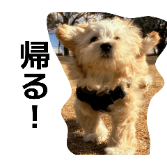 kanon_20260419190403