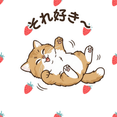 Miracle Persian Girl Aru Love Action