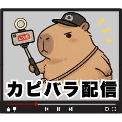 Capybara Stream with 1 Viewer: Vol. 1