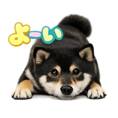 1000ofEars_20260418170407