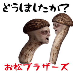 The energetic Matsutake brothers