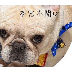 米本宮
