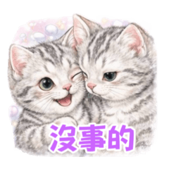 小Q-日常4