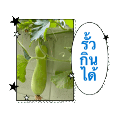 04192026 Friends