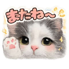 Hachi_20260419154102