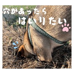 GONTA_20260419193559