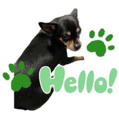 eichan_20260419224254