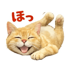 Marutaro_20260419225344