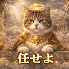 Godlike Cat: Daily Reactions