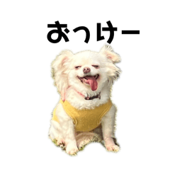 mochan_20260418203351