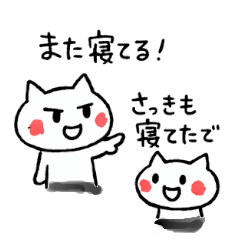 Cat's everyday conversation life