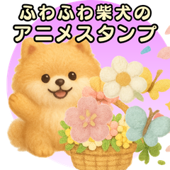 Fluffy Pomeranian Animated