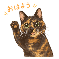 Tortoiseshell cat "Mochi"
