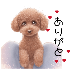 Chacha_20260418223057