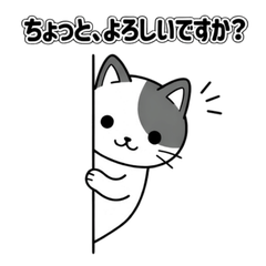 Polite Kansai-dialect cat