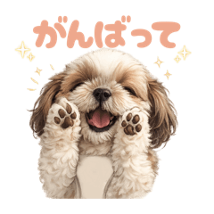 DOG STAMP ORDER_20260419155807