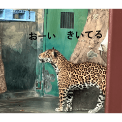 mayu_20260419161352