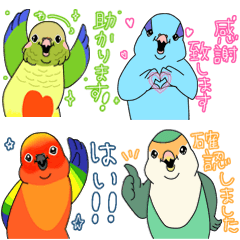 敬語のインコがいっぱい！