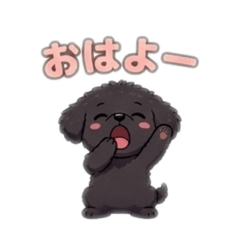 mkpon_20260419003252