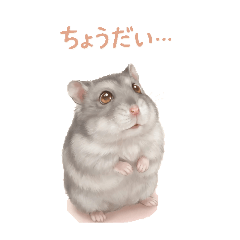 hamumaru stamp 2026