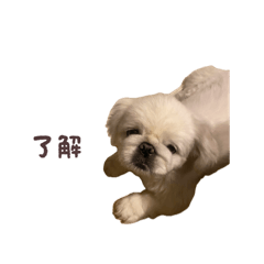 peki_20260419011121