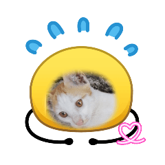 Go sleep_20260419165711