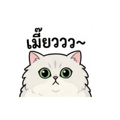 pingping_20260419173844