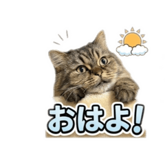 jsgmoro_20260419171555