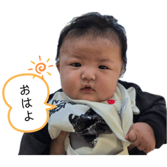 Puppy_20260420025410