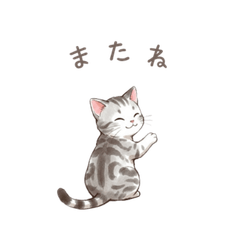 Cute cat Stickers16 923