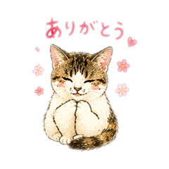 soratuki_20260419104014