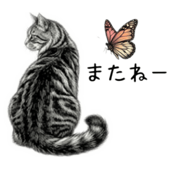 Cats and Butterflies (Mix & Match)