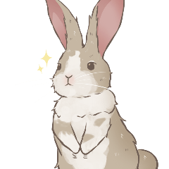 兔兔彗星的日常生活 第一彈