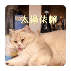 行動蒲公英的日常貼圖