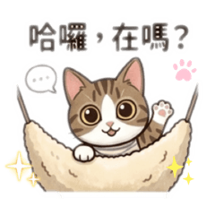 虎妞的上班族日常用語