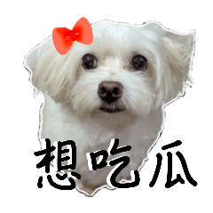 三瑪臭臭狗 V. 2