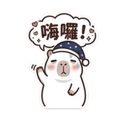 軟萌水豚傻小白